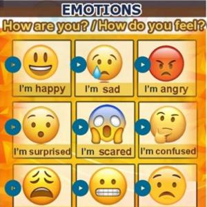 EMOTIONS