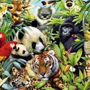 LOS ANIMALES 