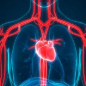 SISTEMA RESPIRATORIO