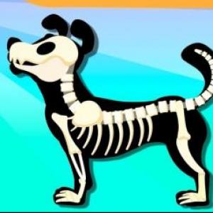 juego de vertebrados e invertebrados