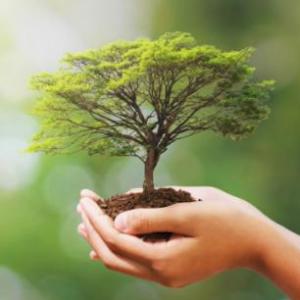 Naturaleza