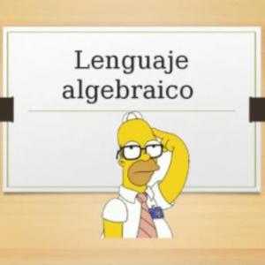 Lenguaje algebraico