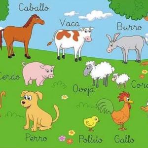 BUSCO Y ENCUENTRO LA PAREJA