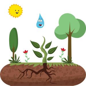 Trivia de Ciencias Naturales