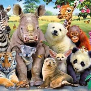 Animales