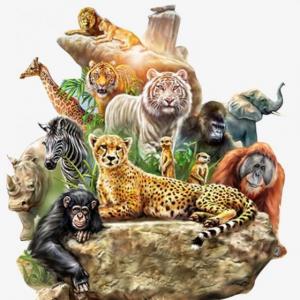 Imagen de portada del videojuego educativo: animales, de la temática Lengua