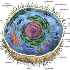 Imagen de portada del videojuego educativo: Zelula, de la temática Biología