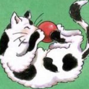 Pets