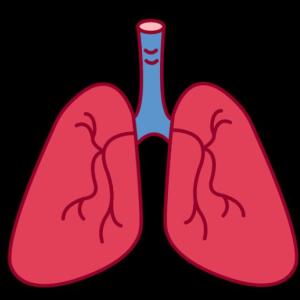 partes del cuerpo humano en chol