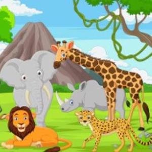 BUSCAMOS LOS ANIMALES SALVAJES