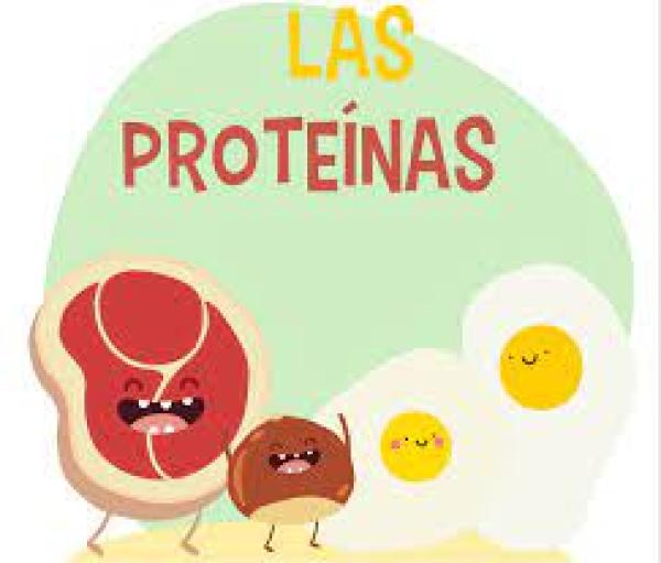 Biomolécula Proteínas