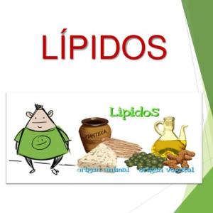 Biomolécula Lípidos