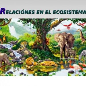 “Relaciones en los Ecosistemas"