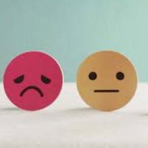 Las emociones 