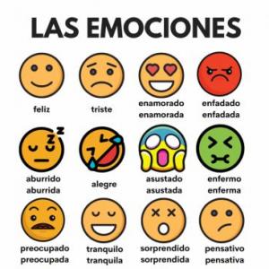 Las emociones 