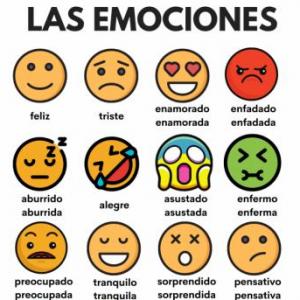 Las emociones 