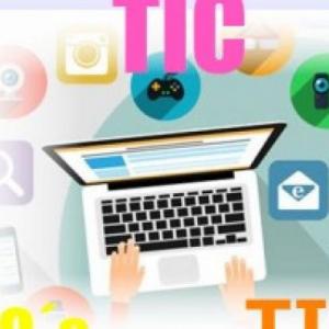 Uso de tics en empresas