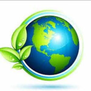 Deforestacion