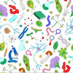 Imagen de portada del videojuego educativo: The human, de la temática Biología