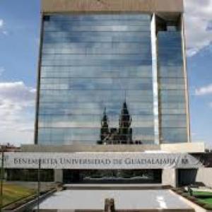 Tutorías