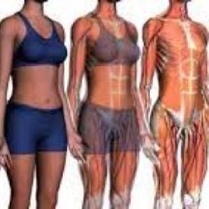 ANATOMOFISIOLOGICO