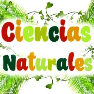 Feria de la ciencia Paulista 2024
