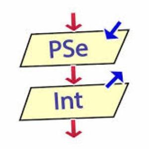 Pseint
