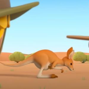 AUSTRALIAN ANIMALS