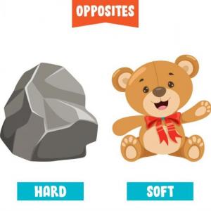 Hard and Soft Objects
