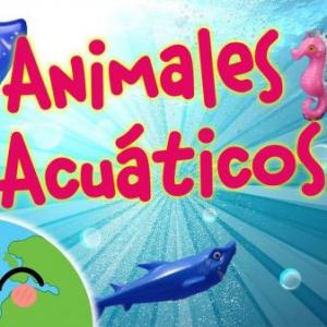 Imagen de portada del videojuego educativo: Memoria de animales , de la temática Biología