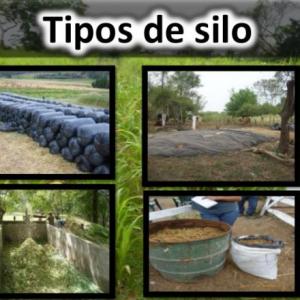 Ensilaje tipos