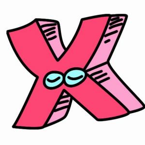 Memoria de la X