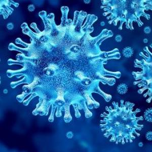 Preguntas sobre la Pandemia