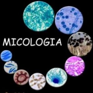 Micología