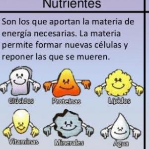 Imagen de portada del videojuego educativo: OCA DE LA NUTRICIÓN, de la temática Salud