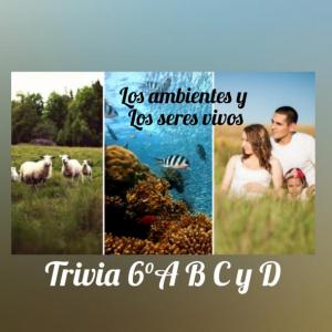 LOS AMBIENTES Y LOS SERES VIVOS