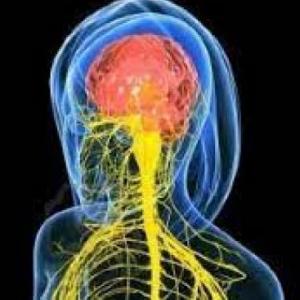 Test de la historia de la psicobiología