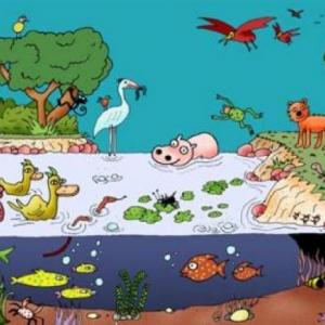 Imagen de portada del videojuego educativo: Ecosistema , de la temática Ciencias