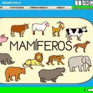 ¿Cuál es su nombre?