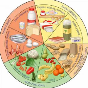 LOS ALIMENTOS