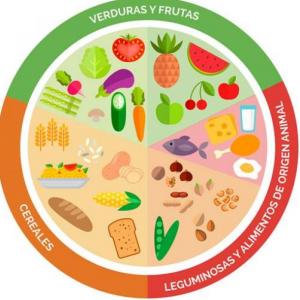 Memoria Alimentación  