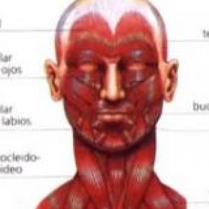 Órganos y sistemas del cuerpo