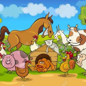 ¡Encuentra los animales!