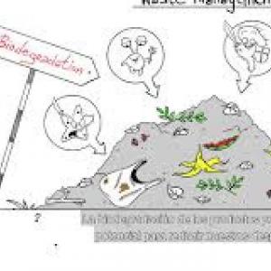 Imagen de portada del videojuego educativo: tribia de preguntas, de la temática Medio ambiente