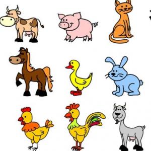 Animales Domésticos
