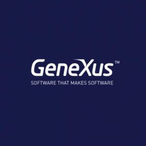 Carácteristicas de Genexus