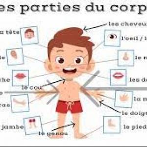 Imagen de portada del videojuego educativo: Les parties du corps, de la temática Idiomas