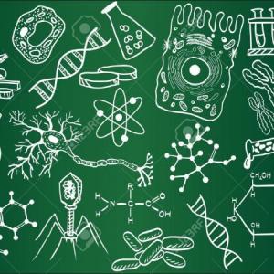 Juego de La Oca (Biología)
