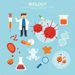 DIAGNÓSTICO BIOLOGÍA