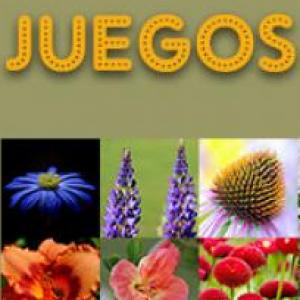 Juego de plantas